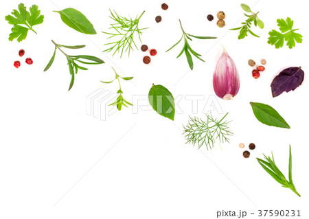 Fresh spices and herbs isolated on white 37590231