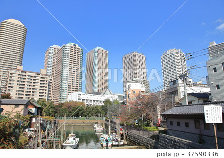 佃公園から見たリバーシティ21      中央区 37590336