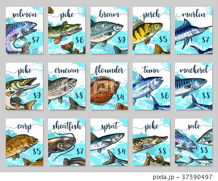 Vector price cards sketch set for fish shop market 37590497