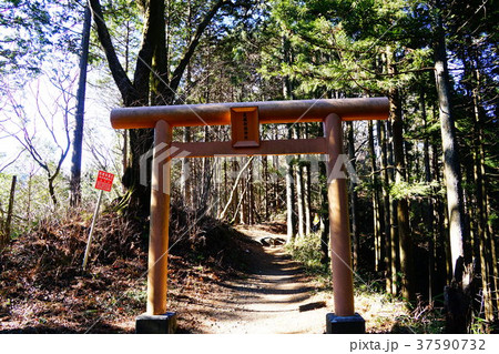 御岳山　鳥居 37590732
