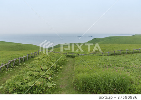 琵琶瀬展望台 37590936