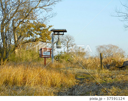 谷中村遺跡　延命院跡 37591124