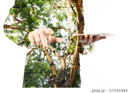 Double Exposure of Businessman GreenTree Branch 37591983