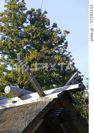 伊勢神宮 外宮 正宮 伊勢神宮 外宮 正宮 37592155