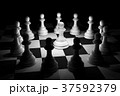 White Chess in Spotlight Surround on Chess Board 37592379