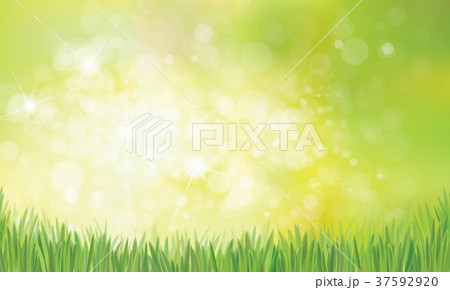 Vector spring  nature  background. 37592920