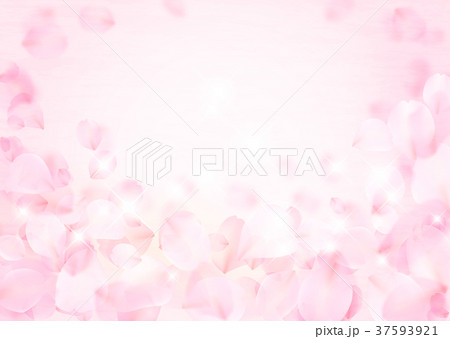 花びら ピンク 桜 バラのイラスト素材