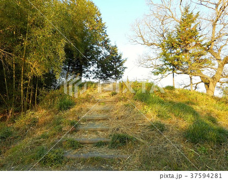谷中村遺跡　雷電神社跡 37594281
