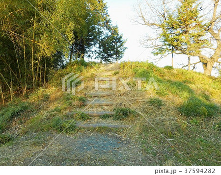 谷中村遺跡 雷電神社跡 谷中村遺跡 雷電神社跡 37594282