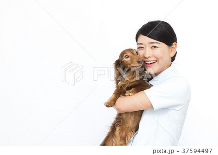 動物看護師 動物看護師 37594497