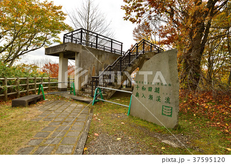十和田湖 紅葉の滝ノ沢展望台 37595120