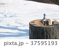 雪の降った翌日の水飲み場 37595193
