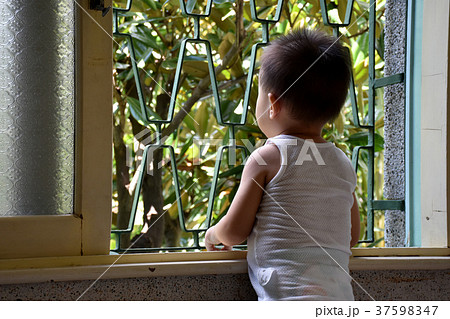 学校 学び舎 スクール 37598347