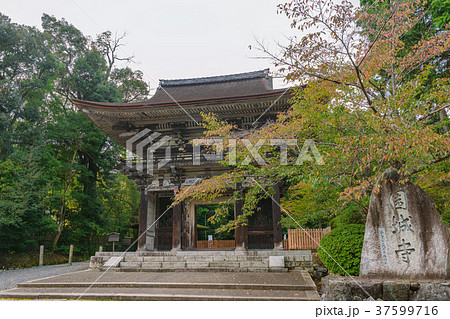 三井寺(園城寺)大門の風景 三井寺(園城寺)大門の風景 37599716