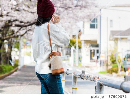 お花見 37600071
