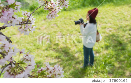 春 女性 春 女性 37600162