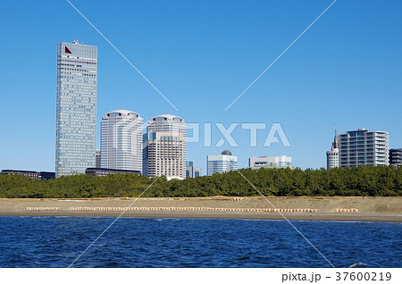 海浜幕張の高層ビル群(千葉市美浜区) 海浜幕張の高層ビル群(千葉市美浜区) 37600219