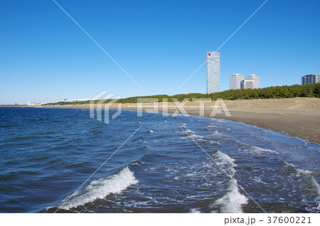 幕張の浜(千葉市美浜区) 幕張の浜(千葉市美浜区) 37600221