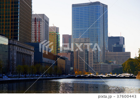 雪の丸の内 37600443