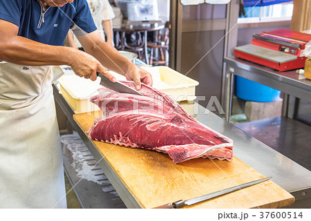 メバチマグロの解体 メバチマグロの解体 37600514