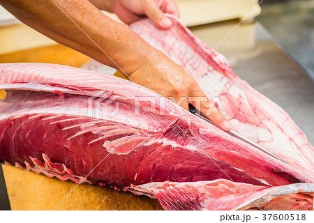 メバチマグロの解体 37600518