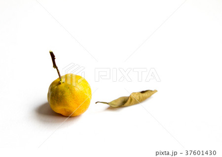 Wizened orange kumquat placed on white background 37601430