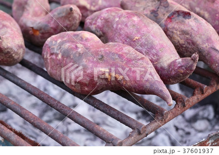 roasted yam sweet potato roasted yam sweet potato 37601937