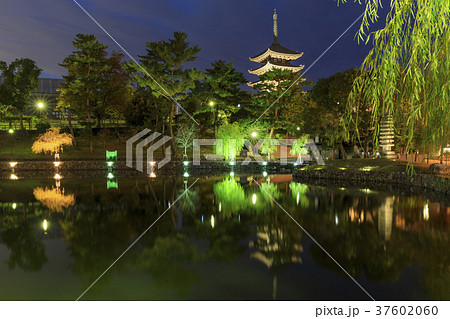 奈良県・興福寺五重塔と猿沢池 奈良県・興福寺五重塔と猿沢池 37602060