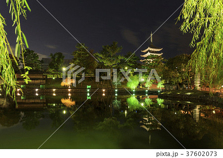 奈良県・興福寺五重塔と猿沢池 37602073