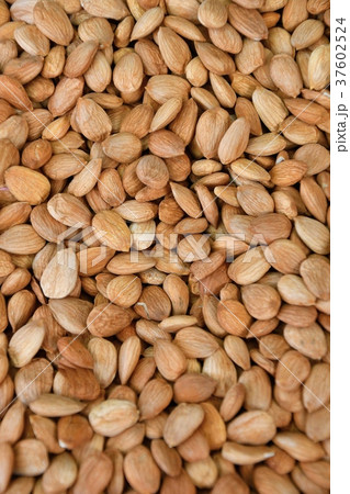 Dried almond kernel 37602524