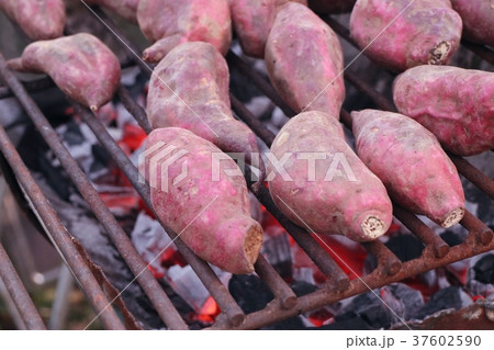 roasted yam sweet potato roasted yam sweet potato 37602590