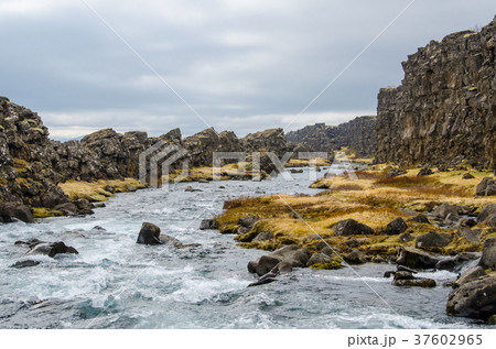 アイスランド シンクヴェトリル国立公園 アイスランド シンクヴェトリル国立公園 37602965