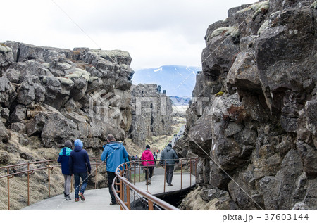 アイスランド シンクヴェトリル国立公園 アイスランド シンクヴェトリル国立公園 37603144