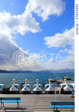 北海道 千歳 支笏湖 スワンボートの群れ 北海道 千歳 支笏湖 スワンボートの群れ 37603993