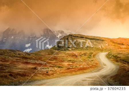 Road to Cuernos del Paine 37604235
