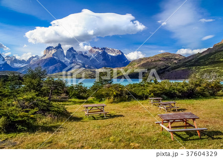 Picnic tables with a view 37604329