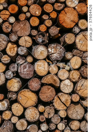 Pile of firewood Pile of firewood 37604426