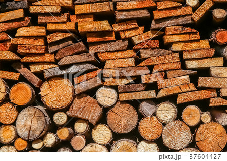 Pile of firewood Pile of firewood 37604427
