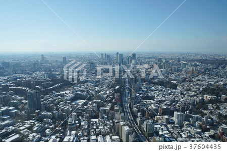 日本の東京都市景観・4年ぶりの大雪から一夜明け「広尾や渋谷などを望む」＝2018年1月23日撮影 37604435