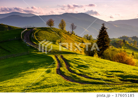 countryside with grassy slopes at sunset 37605185