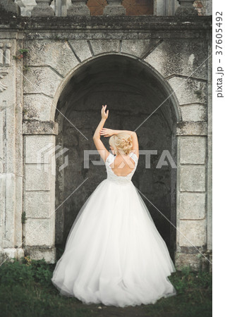 Gorgeous romantic gentle stylish beautiful 37605492