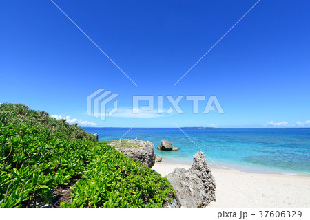 沖縄の美しいビーチ 37606329