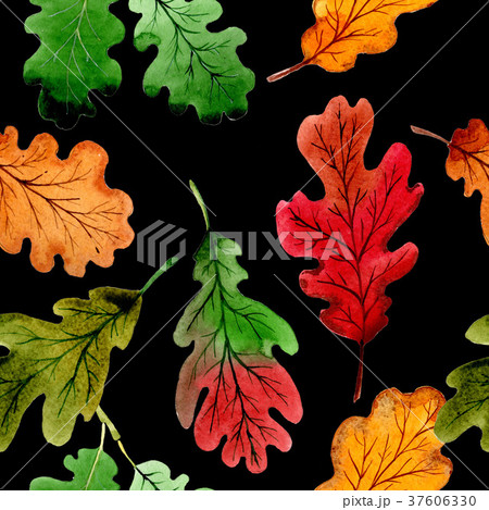 Autumn leaf of oak pattern in a hand drawn 37606330