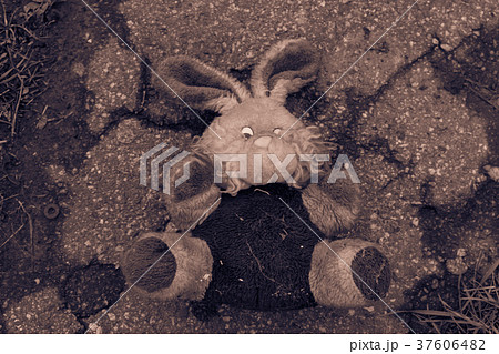 Abandoned bunny doll on the pavement 37606482