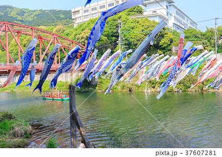 端午の節句　川を泳ぐ鯉のぼり　佐賀川上峡 37607281