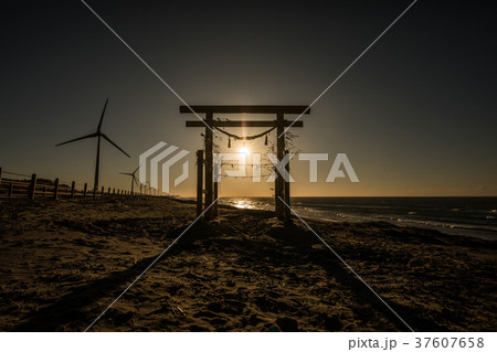 南遠大砂丘の鳥居と太陽 37607658