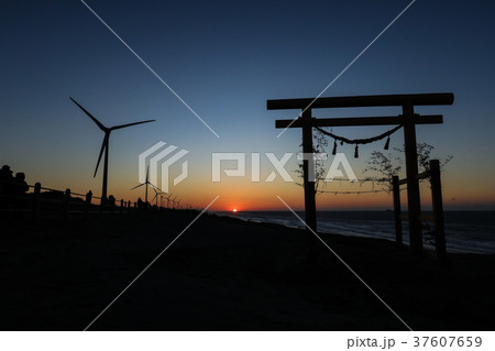 南遠大砂丘の初日の出と鳥居 37607659