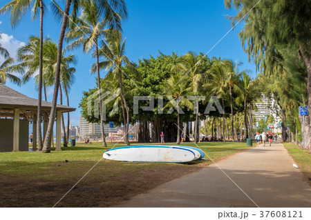クヒオビーチ前の歩道の風景 37608121
