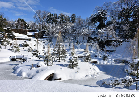金沢城公園 玉泉院丸庭園の雪景色 37608330