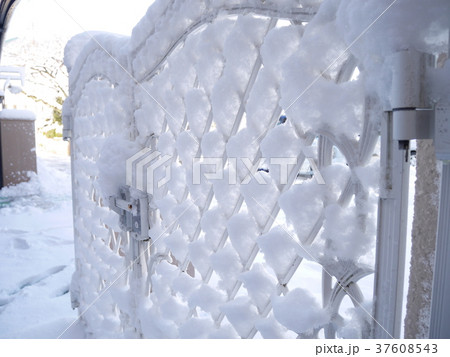 大雪後の門 37608543